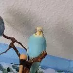 Unser Neuzugang Bichii ♥