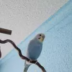 Deckt sich fast mit der Wandfarbe ^^ ♥