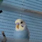 Unser neuer, süßer Kleiner ♥o♥