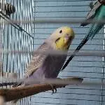 Unser kleiner Neuzugang Nijii ♥