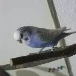 Guenther mal allein