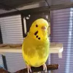 Profilbild für Sunny