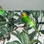 Haaallo, ich bin da!