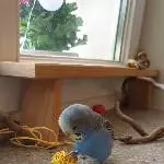 Spielzeit mit Pfeffi