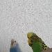 Freya und Balou entdecken Neues