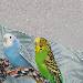 Freya und Ares