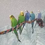Gruppenbild, 5 von 8