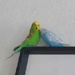 Freya und Balou beim knuddeln 