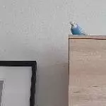 Wir machen doch gar nichts