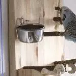 Der Anfang ist gemacht