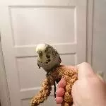 Balu frisst das erste Mal aus der Hand