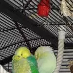 Nicki und Luc