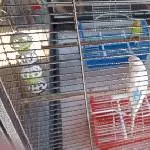 Einzug ins neue Zuhause