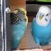 Kalle und Felix