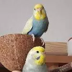 Josie und Momo