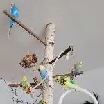 Geburtstagsparty im Baum