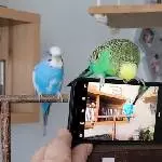 Wir machen ein Foto