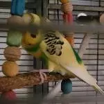 Alles Gute kommt von oben :)