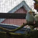 Speedy und Speedy sind immer die ersten.