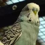 Ich bin Kelli