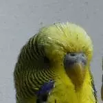 Profilbild Spencer
