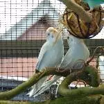 Speedy und Speedy hocken ständig zusammen