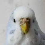 Profilbild Blanca