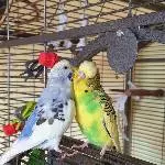 Kuschelzeit!