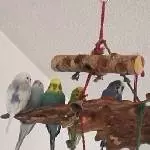 Endlich sind es 6