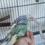 So mutig!