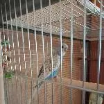 Das ist Blue