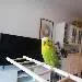 Enzo