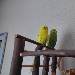 Maxi und Lucy