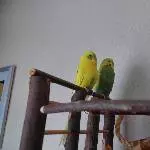 Maxi und Lucy