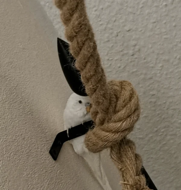 Wellensittich-Bild: Du Felo, es hat einen Grund warum ich mich hinter dem Knoten versteckt habe. Ich will schlafen. Machs Licht aus.. 