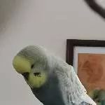 Keiner spielt mit mir 