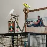 Wir wachen über euch 