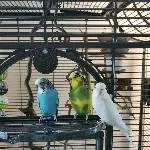 Montagsmeeting 