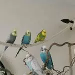 Gruppenfoto der Welli-Family 