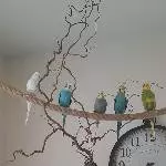 Unsere Fliegerstaffel 