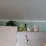 Wo ist die Hirse 