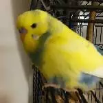 seeeehr müde