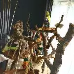 Mein Vogelspielplatz