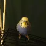 Feierabend