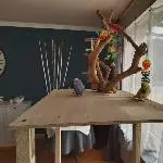 1. Begehung der Baustelle