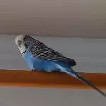 Geschafft!
