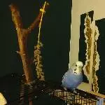 Bin nicht dick bin flauschig