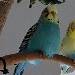 Mutter & Sohn
