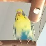 Mein Schicki