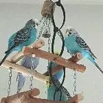 Sieben auf einen Streich!